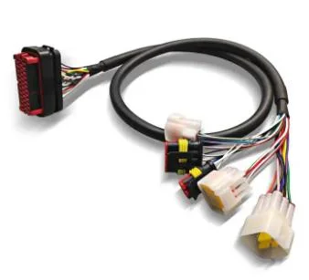Fabricante OEM Conjunto de cables de mazo de cables eléctricos personalizados para vehículos